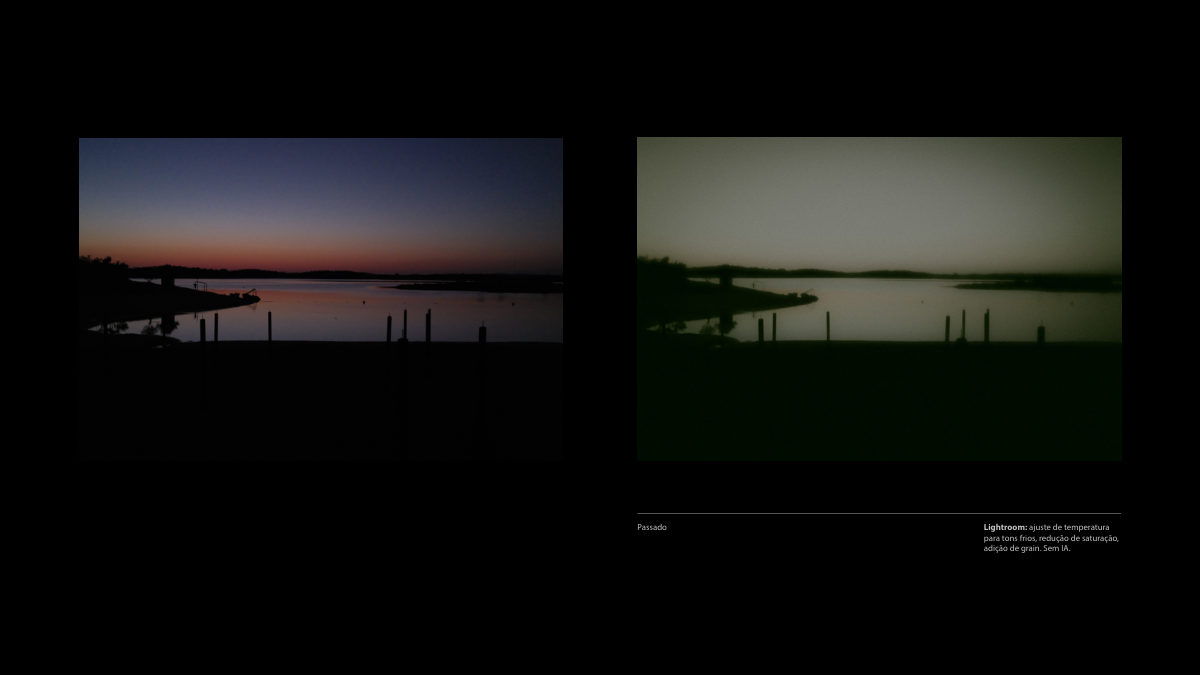 Catálogo Digital | Tarkovsky / Parr