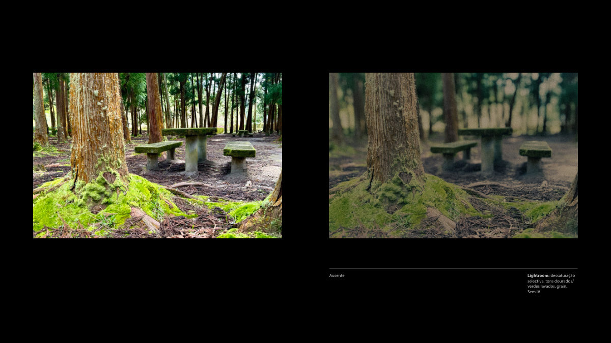 Catálogo Digital | Tarkovsky / Parr