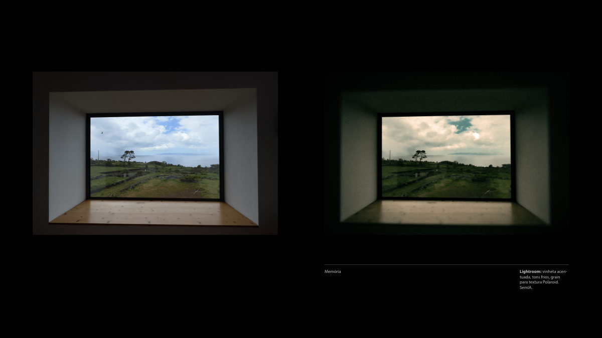 Catálogo Digital | Tarkovsky / Parr