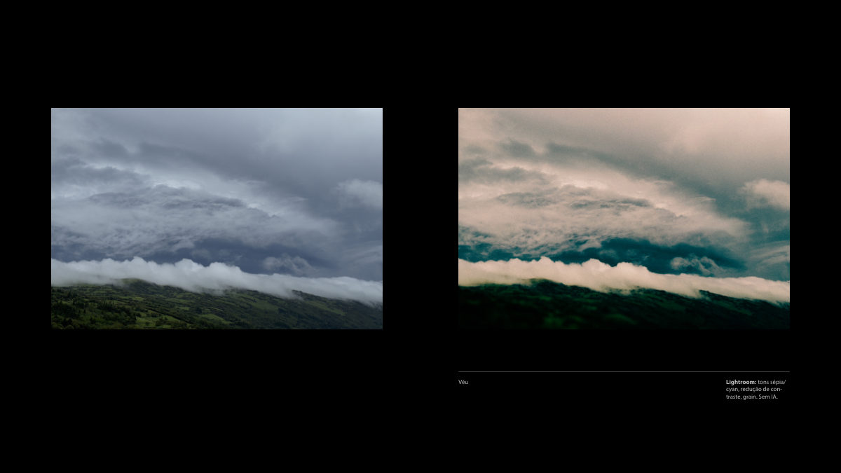 Catálogo Digital | Tarkovsky / Parr